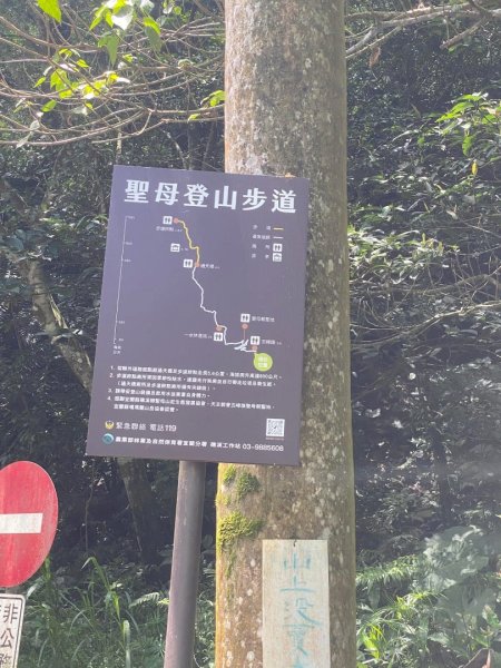 朝聖抹茶 Day 1 來去抹茶山3055382