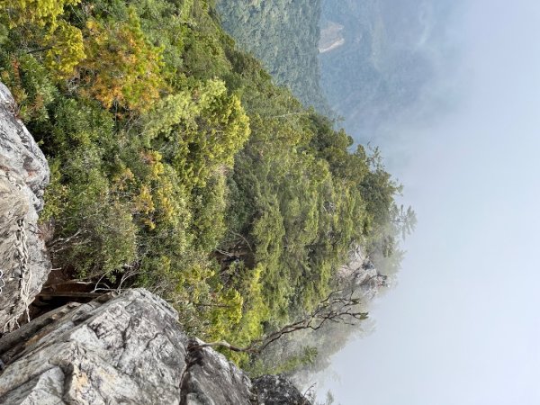 20260124_鳶嘴山（台中小百岳）3102244