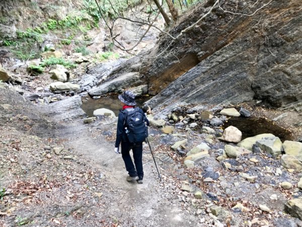 山河變臉的里龍山步道524931