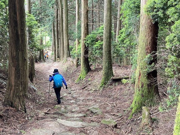 熊野古道參訪4日2805094