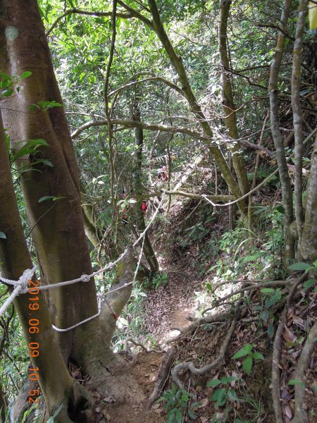 20190609_月扇湖山841478