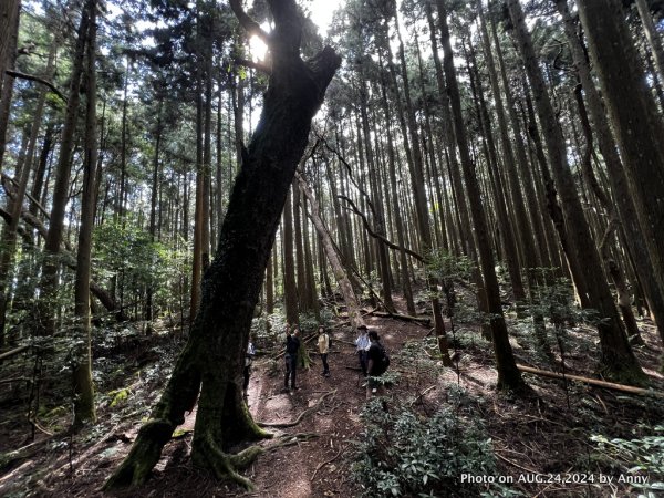 民都有山就是漂亮的夏天冷氣房2582224