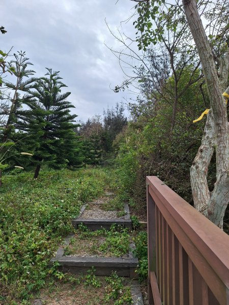 苗栗基石:貓貍山、將軍山、公司寮山、半天寮山、白沙屯山2693788