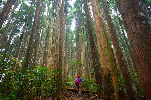 大混山縱走李崠山631540