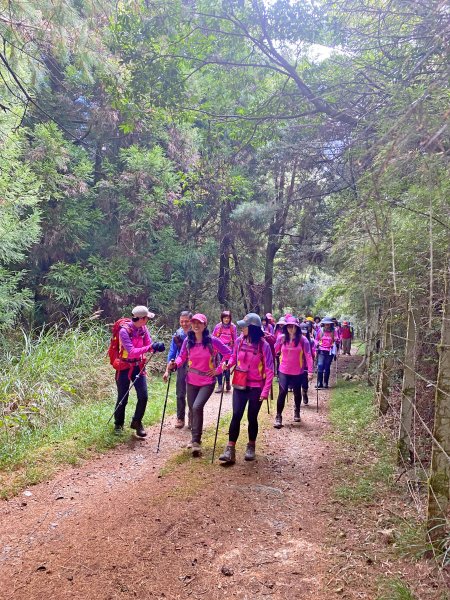 樂山鐵道順登鹿坑山.南比林山.尤命神木1164398