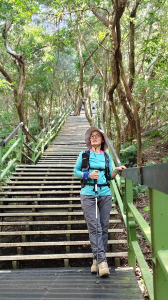 大崙頭尾山2990350