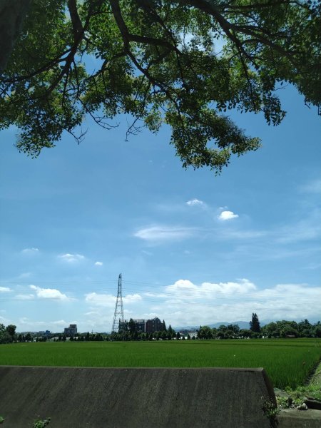 宵裡好風光－茄苳宵裡陽光單車之旅2817256