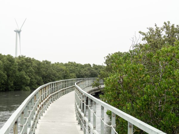 芳苑海空步道2961209