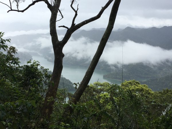 溪洲山2736190