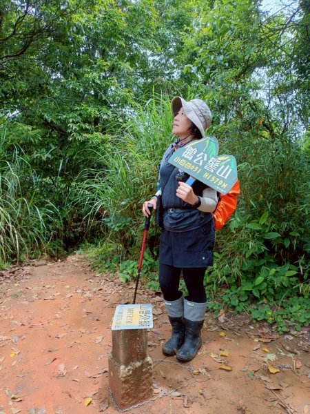 鵝公髻山採桃趣-202505302865293