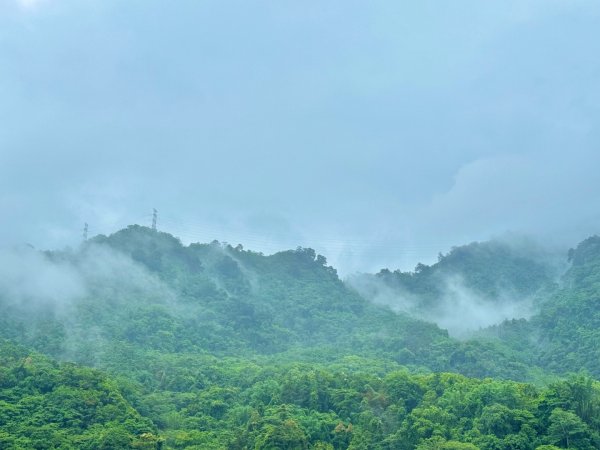 雨下的白毛山步道與白鹿吊橋2805308
