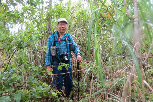 坪林大舌湖山二上一下O型700328