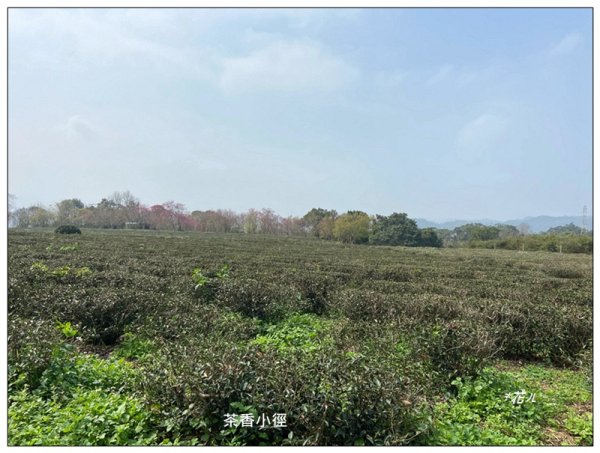 山塘背登山步道 O型路線2761463