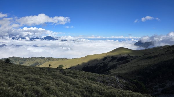 20241124-1130 南二段10座百岳2665332