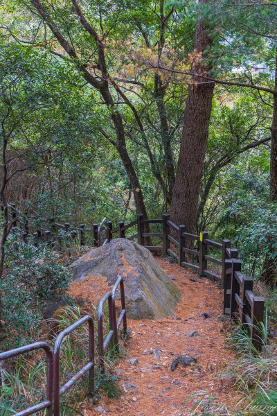谷關七雄_波津加山2977564