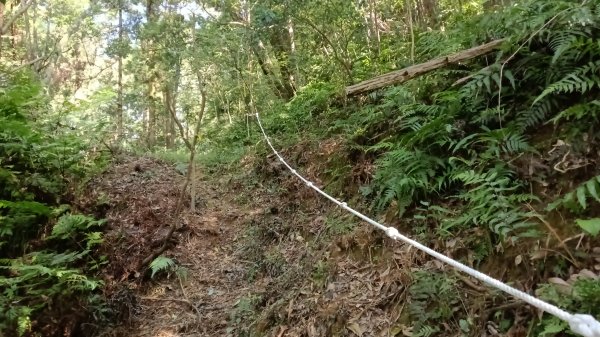 平溪區東勢格古道-咸豐嶺烽火台-峭壁雄峰-三抱竹鞍-白石後仙洞-東勢格古道P字走3126893