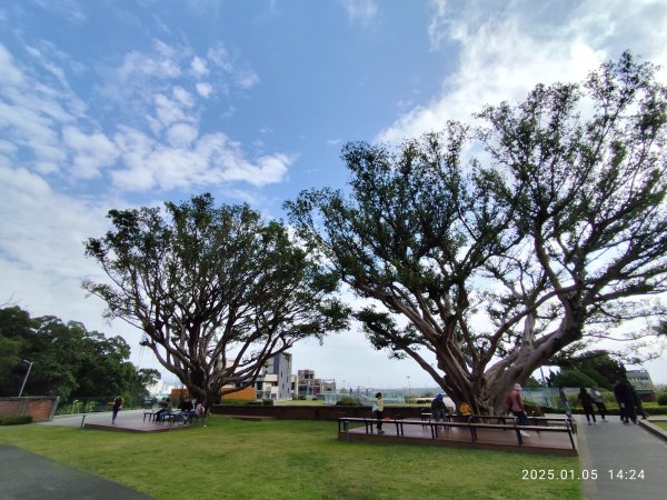 行天宮北投分宮、師大公園、臺北市立美術館2683322
