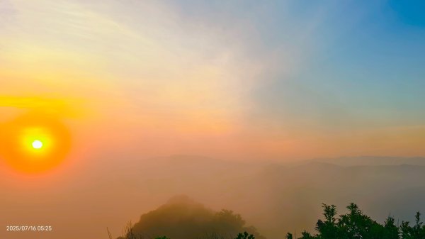 雲山水花鳥蝶-天龍國阿伯的日常 7/162838409