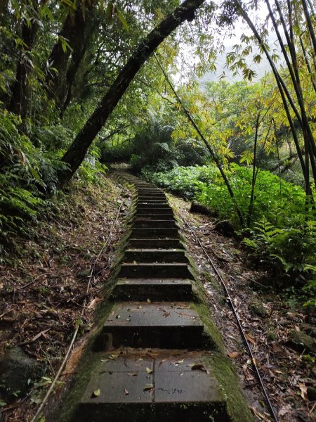 微笑山線：【五分山系】平溪小黃山段2954997
