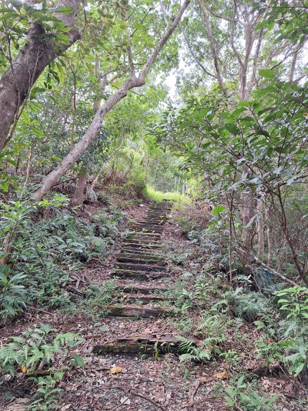 望龍埤三山O型202509272901707