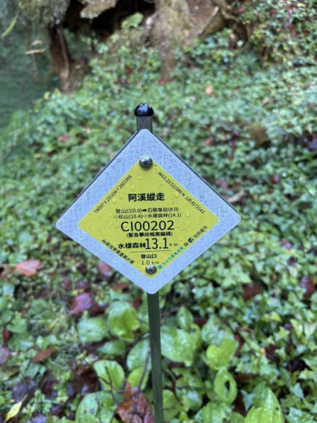 20251225塔山步道(大塔山)2970288