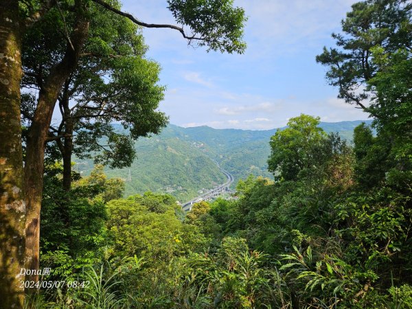 坪林三星(鬼子瀨尖.源茂山.和尚髻山)全紀錄2498636