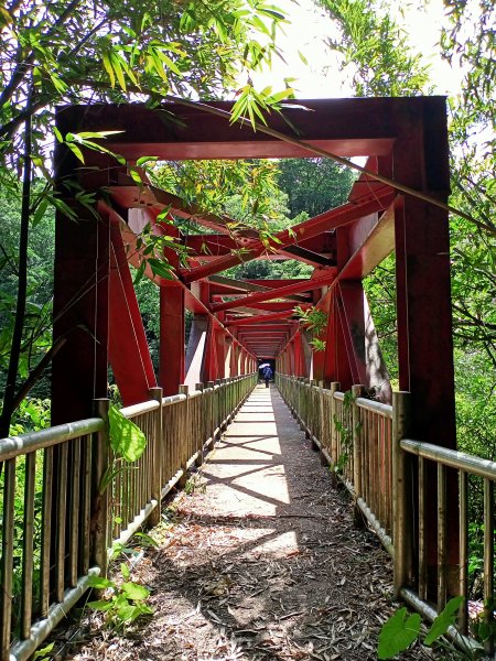 【新北-臺灣百大必訪步道】流水淙淙的三貂嶺瀑布群步道1455488