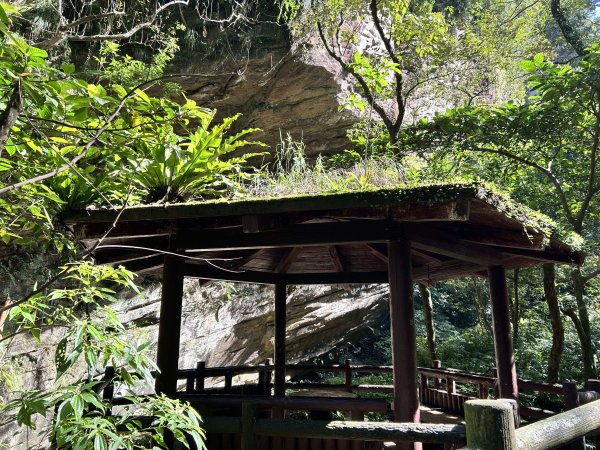 暖東峽谷步道2949300