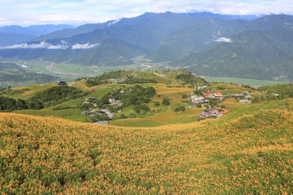 六十石山-金針花季358940