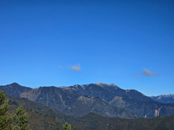 大雪山國家森林遊樂區賞楓／看神木／賞雪白山頭／賞大景2974289