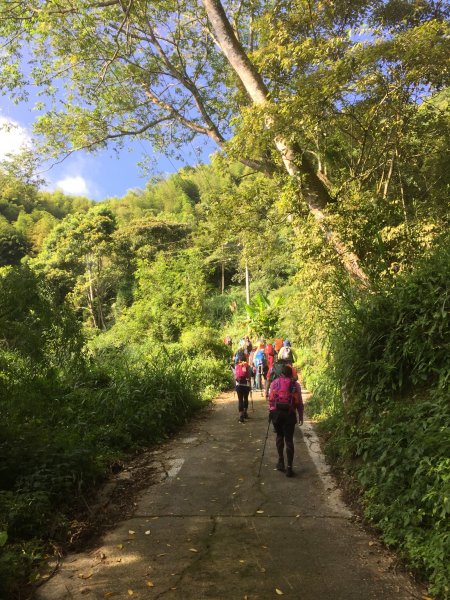 20210926南投圓山坑林道登鳳凰山下忘憂森林1473462