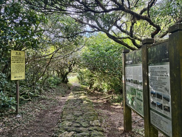 [百山百鳥尋旅-11/15] 2025_0927 大屯主峰-連峰步道_大屯山南峰2899349