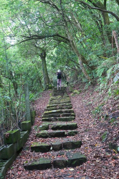 【行腳陽明山】七星山系三條經典步道，回歸最初山的記憶2185641