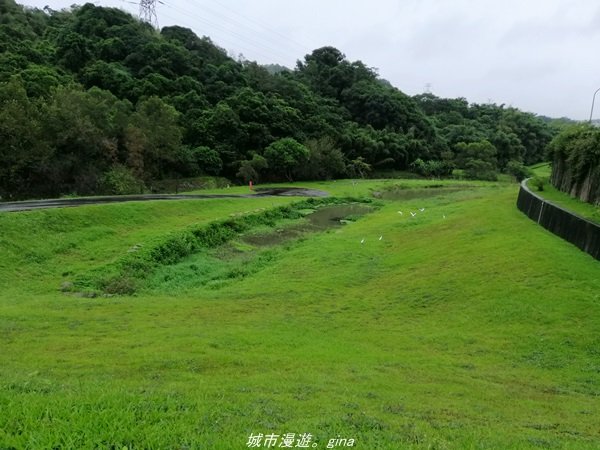 【台北。內湖】翻翻舊照來回味。 親水綠地散散步。大溝溪溪畔步道1412325