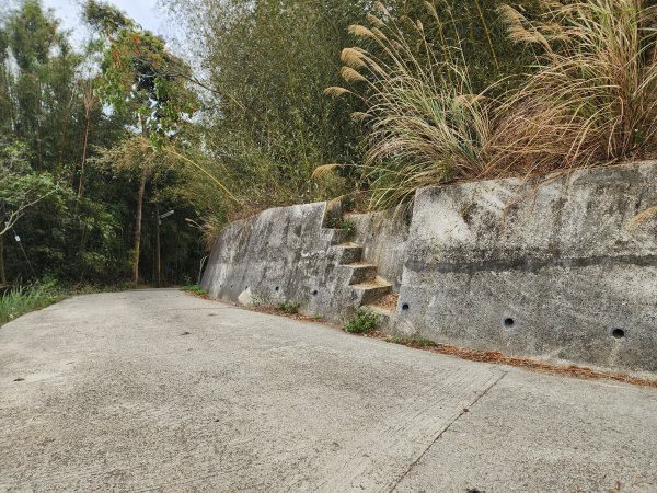 20260224雞隆山、八角林山、上果作園山3023633