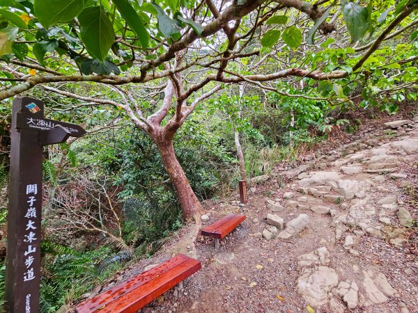 小百岳集起來-關仔嶺大凍山2185144