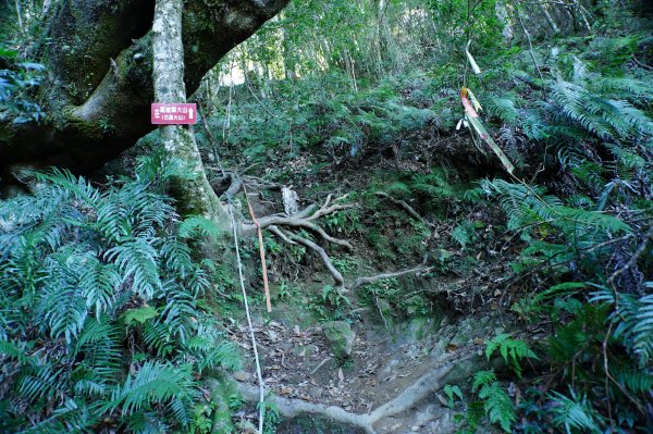 新竹 五峰 西高橋山、霞喀羅大山2959332
