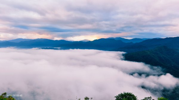 #翡翠水庫壩頂 #日出 #雲海 #斜射光 8/303113250