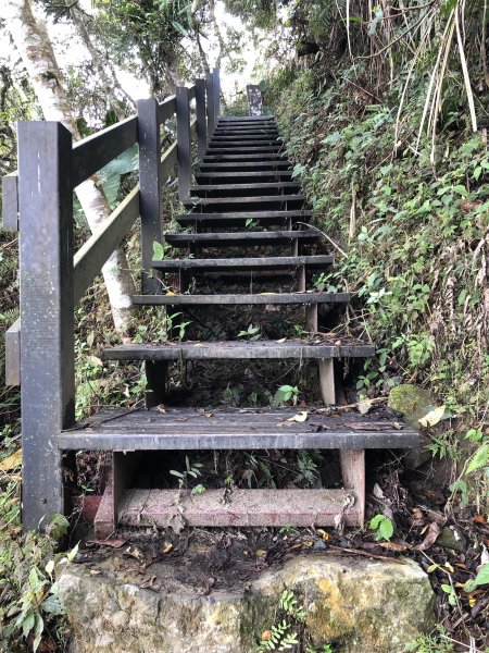 梅峰古道.獵鷹尖 一線天597023