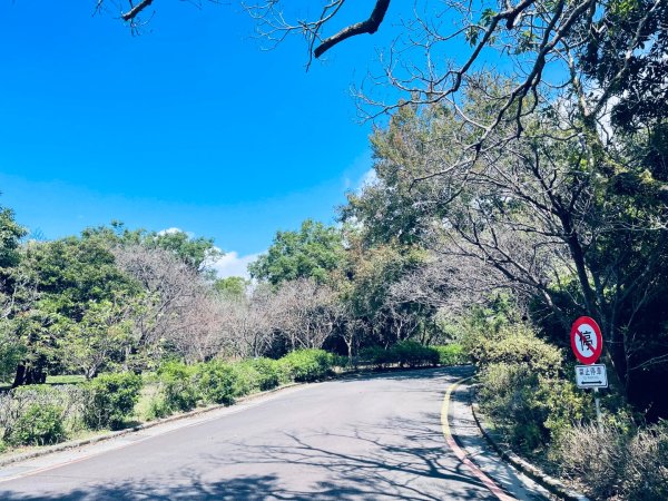 20261009 菁苗步道（苗圃登山口-菁山自然中心-前山公園）3133893