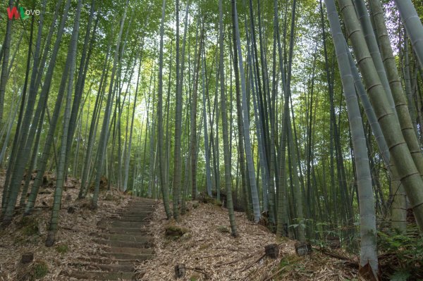 WL 愛旅行【石壁山】499634