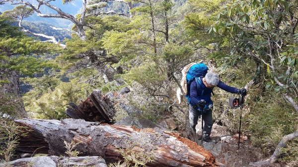 20180419武陵二秀_桃山池有山418954