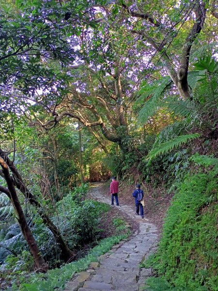 桃園大溪石門水庫楓林步道、齋明寺古道【南山神壽任務】1963931
