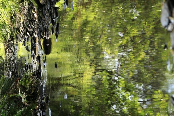 柴寮古道、三貂嶺瀑布群1003872