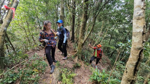 烏桶縱走(烏來山→大桶山)忠治出全紀錄2915222