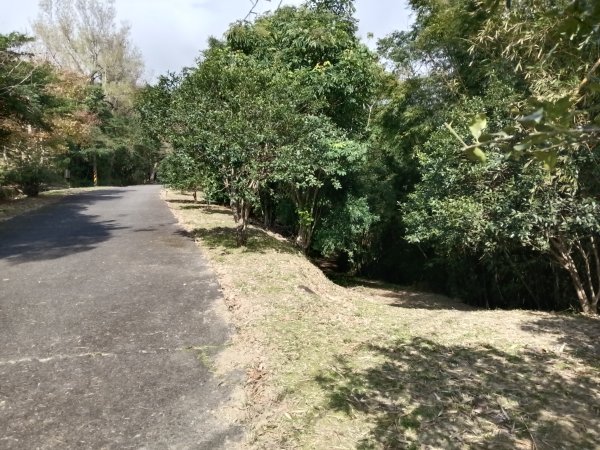 頭城鎮龜山車站+北關山豬線+叢雲山+梗枋古道出龜山車站O型3007599