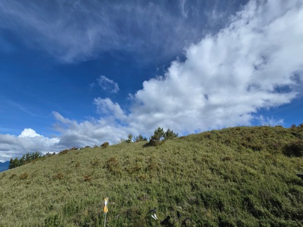 志佳陽大山（回程走高繞環山獵人登山步道）2542189