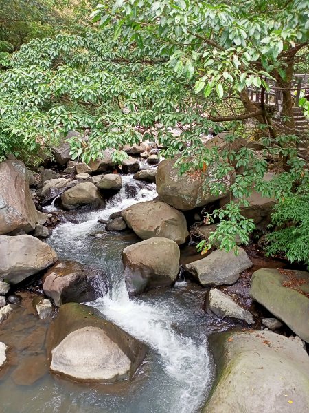 《龍飛鳳舞的龍鳳谷步道》1447209