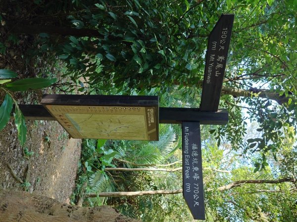 微笑山線之鳶山任務2855521