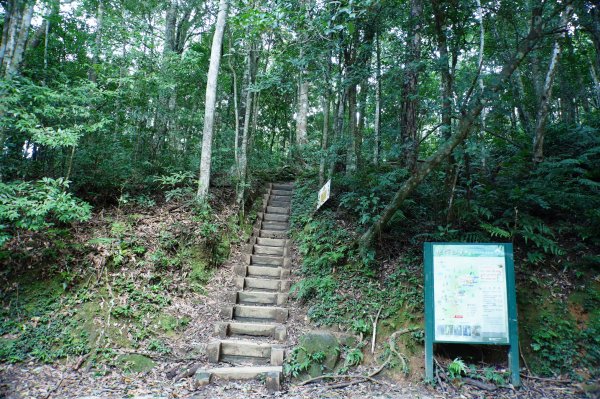 新竹 尖石 內鳥嘴山2899159